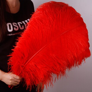 �r�B��ë �tɫ����ë��c�r�Bë·��������Y�b���ë15-70cm