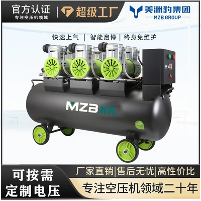 Air Compressor Static Bass Oil-Free Large Industrial Auto Maintenance Woodworking Export Air Compressor Spray Paint 220V Air Pump