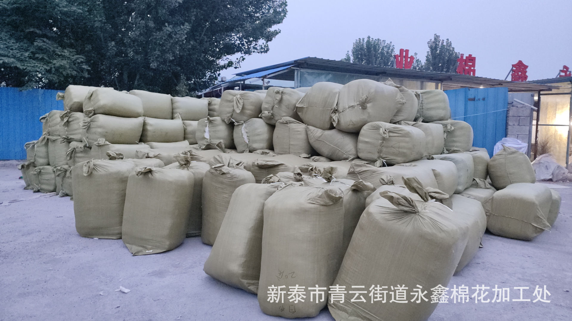 IMG_20210819_190215387_origina