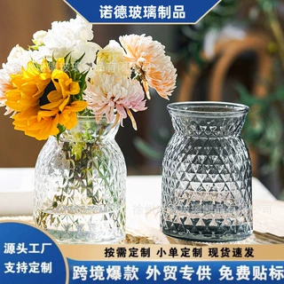 透明玻璃花瓶插花高级感 轻奢花瓶客厅插花瓶水培高级感摆件