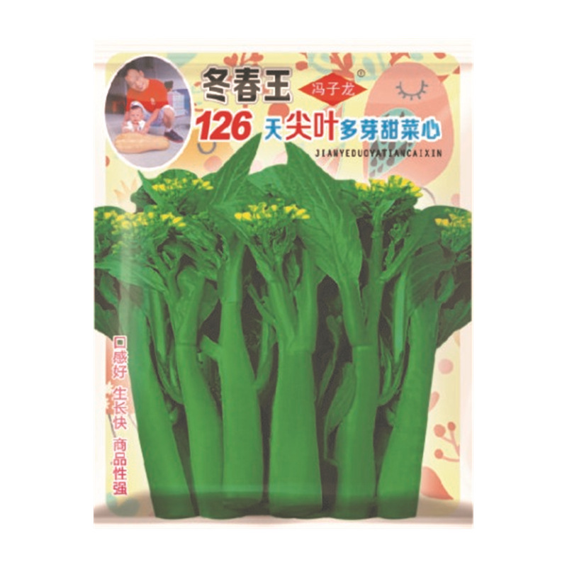 冬春王126天尖叶多芽甜菜心冯子龙种苗厂家直售批零大田基地蔬菜