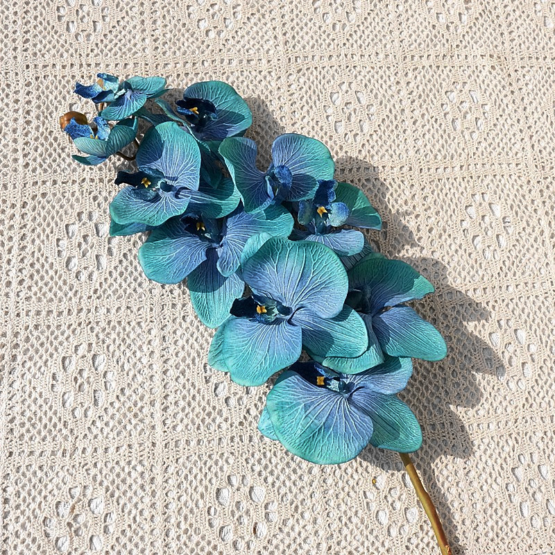 O1CN01HjmwDk1s540oLjOXU_!!4036