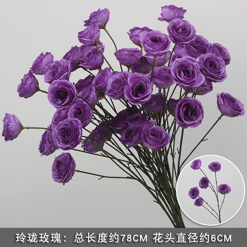 보라색/가지