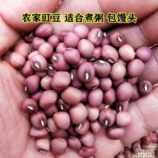 �o���t�����N������������s���N�Ӵ�������s�Z����򶹝{����ζ