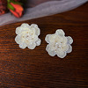 White earrings for bride, fashionable wedding dress, accessory, flowered