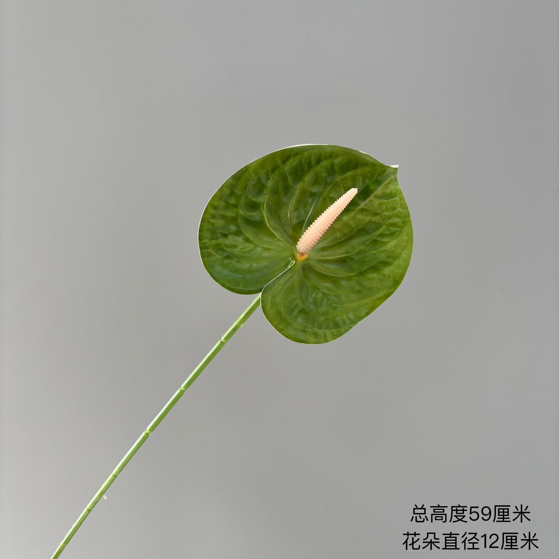짙은 녹색