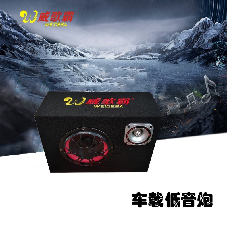 Factory Direct Sales 56810inch Square Cabinet 12V24V220V Bluetooth Card Audio Car Subwoofer Car