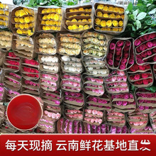 直发昆明新鲜直批速递包邮基地玫瑰花鲜花云南家用斗南办公室