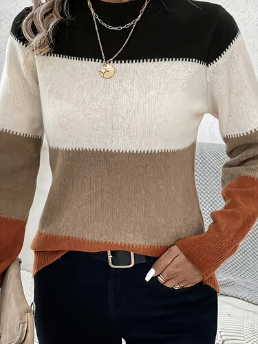 Women's Elegant Color Block Round Neck Long Sleeve Sweater