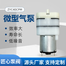 厂家微型气泵12v包装机注氧仪美容仪泵电动雾化机大流量24v真空泵