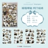 105734-Shark Cat 4 sheets of stickers (grey)