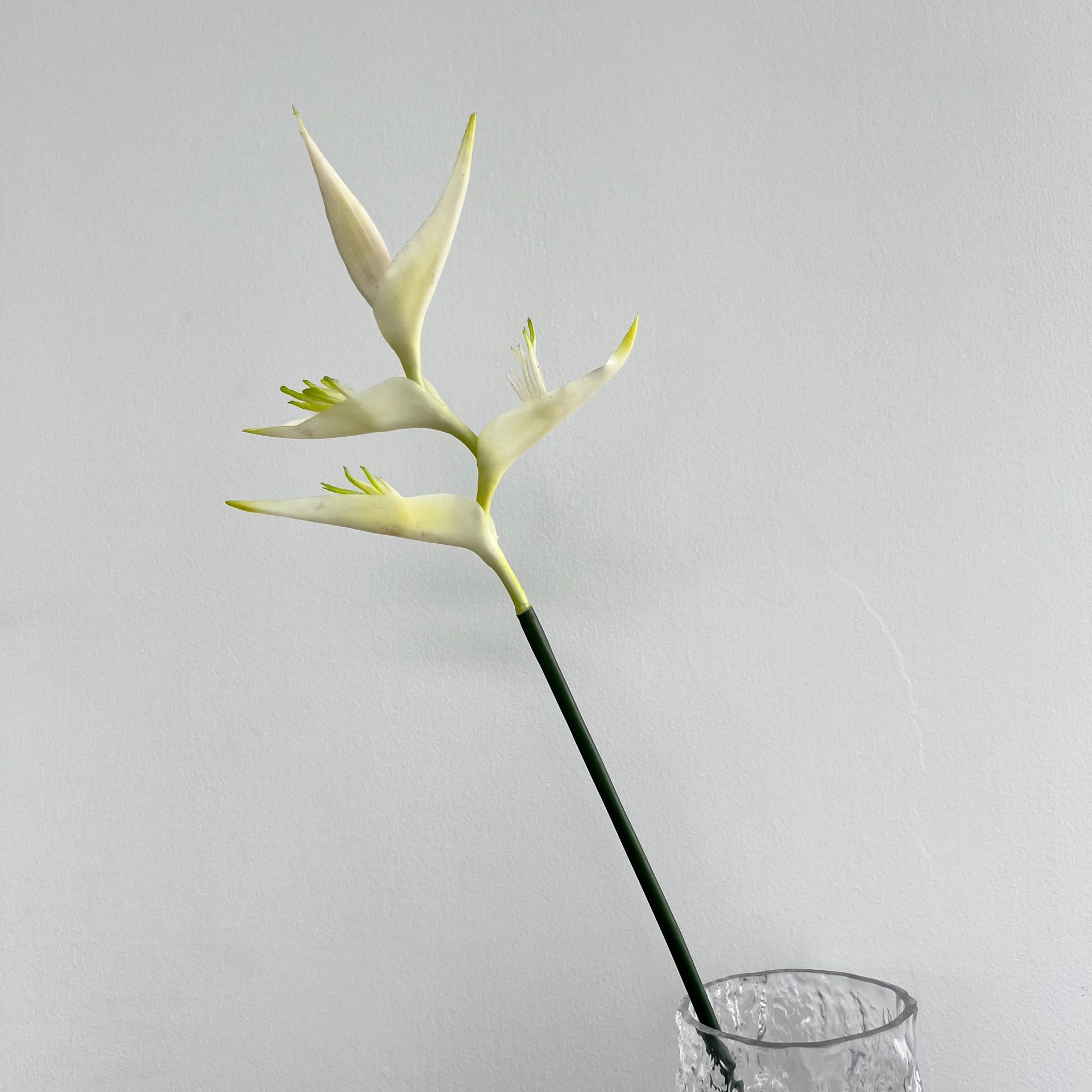 샴페인