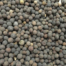 ľ�ȷN�� �t��ľ�ȷN�� �ذ� ���� �G����ľ��ľֲ���N��