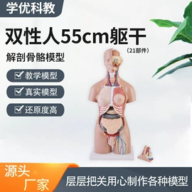 医药教学器材;生物教学器材;其他口腔护理