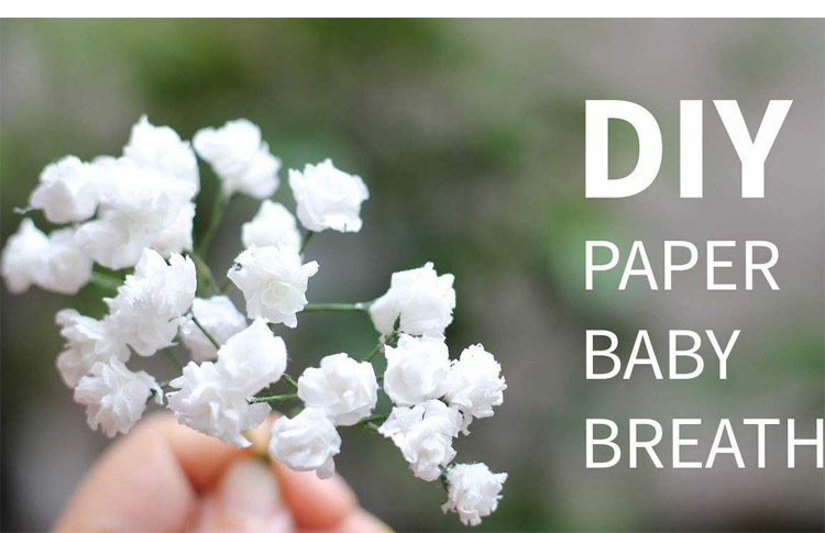 C2E5A5341BF6D080BDC9182B51A868