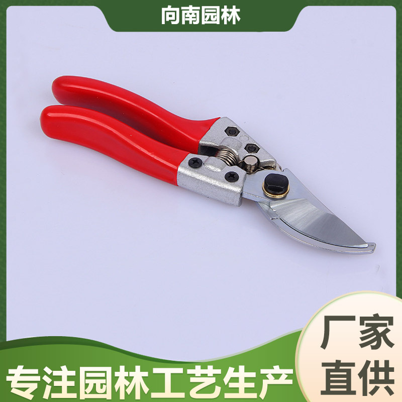 供应家用盆景修枝剪剪刀摘果剪枝弹簧修枝蔬菜防锈剪园艺