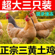 土鸡三黄土鸡农家散养童子鸡白条鸡柴鸡笨鸡生鲜冷冻鸡月子鸡网红