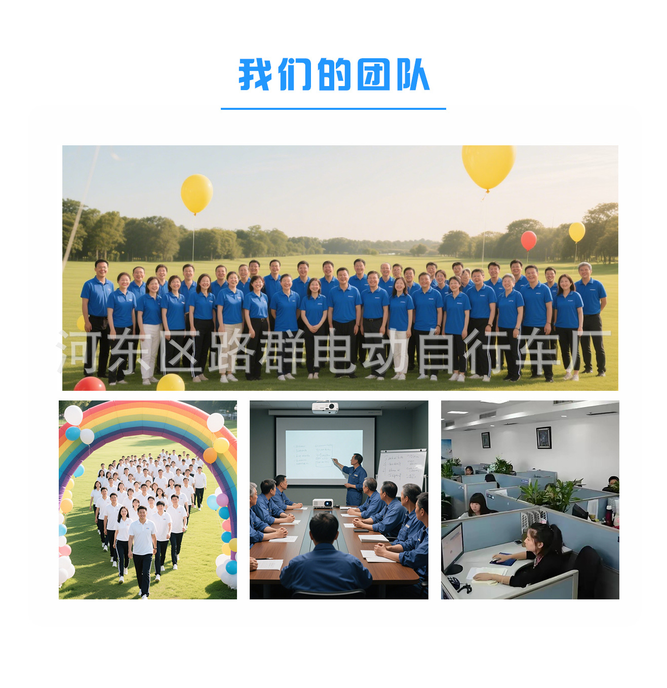 Factory Adult Electric Bicycle, Small Electric Motorcycle, Long-Distance Riding King, Mini Taxi, Electric Vehicle, Mini Portable