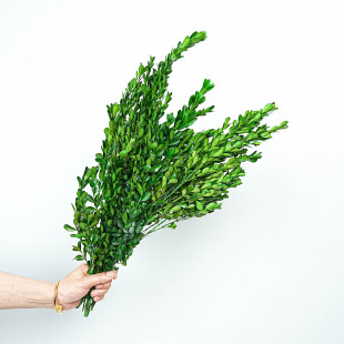 С�~�S�������� ��Ȼ�G�~�����仨 �Gɫ������ֲ���ȫ diy����