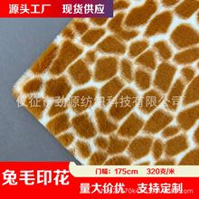 F؛Li¹yëӡ¹K¹߼yëӡëq߷Ьñ