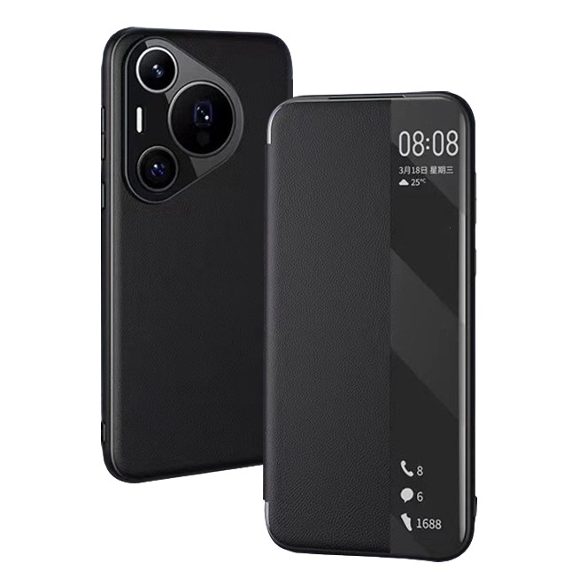 A1