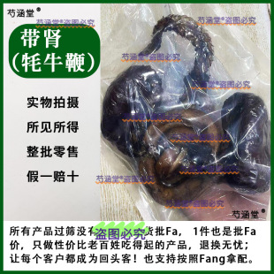 ��ţ���ݾƲ������ؚ�ţ�޸�������֦������؛ ������ţ��ëţ��