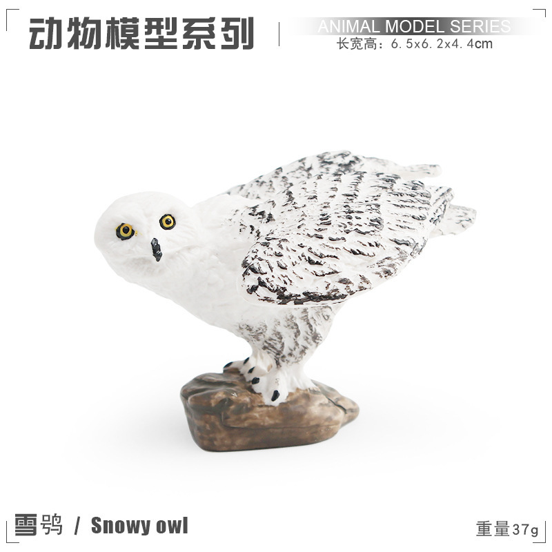 PL127 - 3563 Nieve Gull 37g