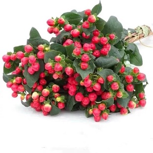 Fire Dragon Pearl Crystal Bean Flowers Wholesale Rose Bouquet Home Flower Arrangement Matching Flowers Wholesale One Piece Dropshipping Free Shipping