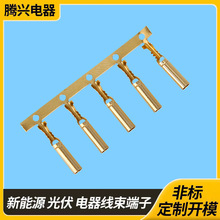 �S��ֱ�N����~�ܶ����p�T 3.0�A�ܶ���ע�ܹܠ����3.5�~�ܶ���