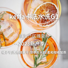 【8月批次】Keffa卡法瑰夏G1 印格23產季埃塞水洗咖啡生豆1KG