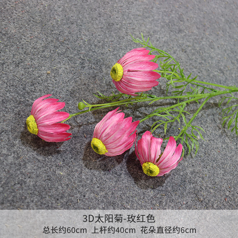 Rosa roja 3D sol crisantemo una rama