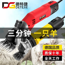 修枝剪;电链锯;电动工具配件