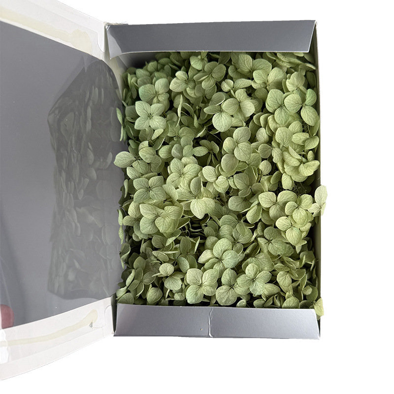 Anna Hortensia flor eterna Rosa Eterna caja de regalo flor seca flor preservada Flor Eterna