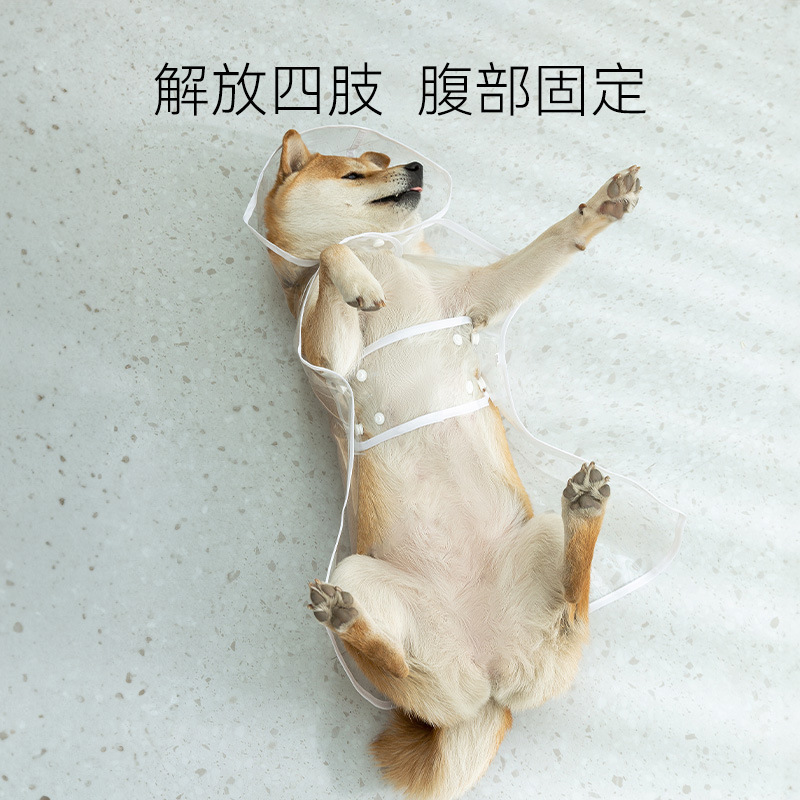 Perro moda transparente impermeable estilo capa perro mediano y grande Golden Retriever fuera poncho impermeable mascota lluvia ropa para perros