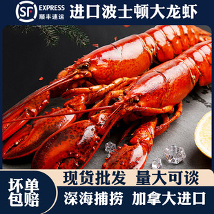 ��S���]���ô������ʿ�D���r��ֻ500g��Ƶ꺣�r���l���r���r