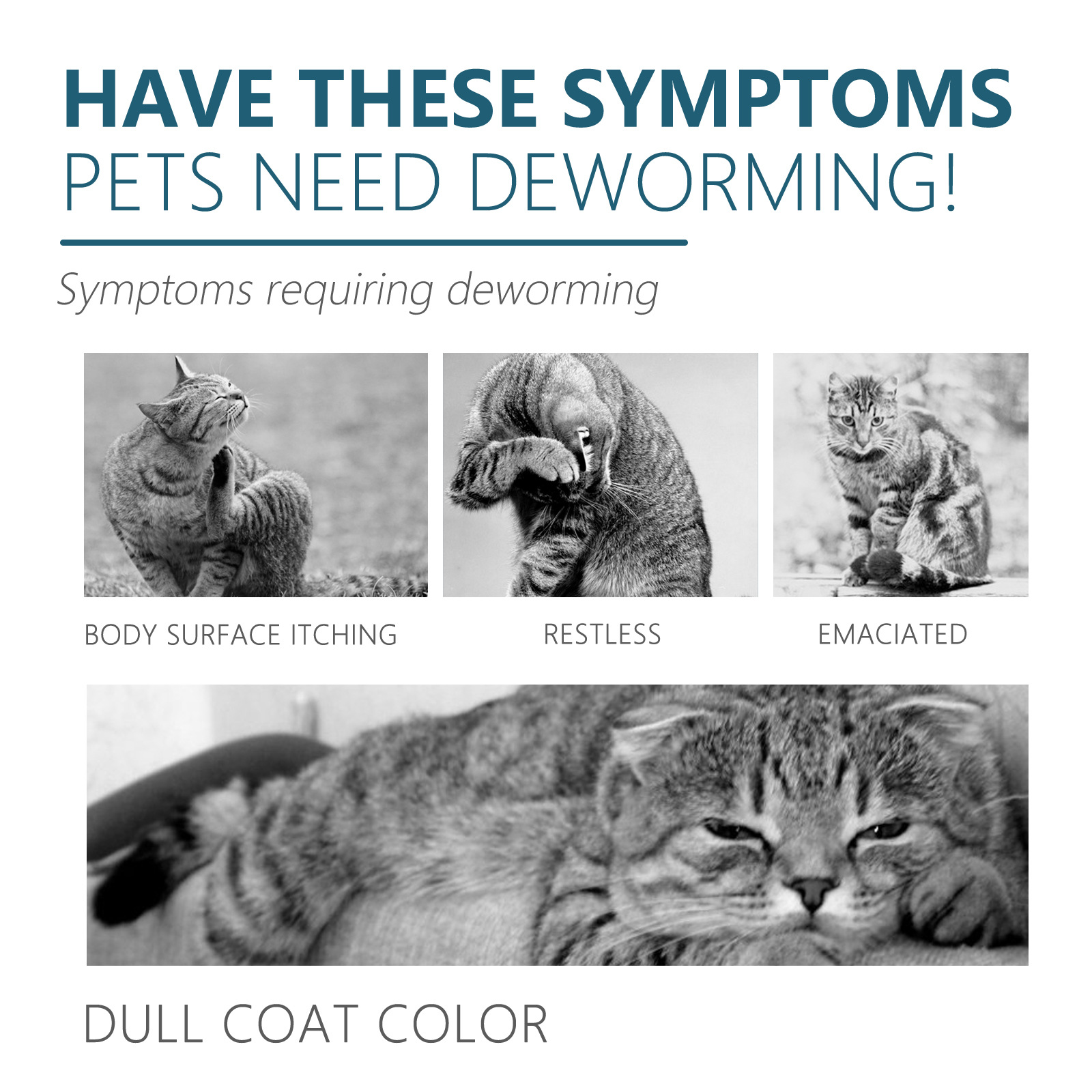 Yegbong pet antipulci gatti, cani, detergente esterno per la pelle vermifugo per pidocchi, zecche e zecche_voghion.com