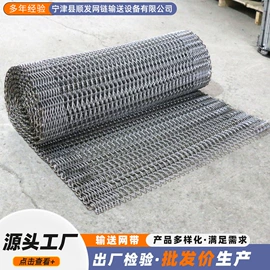 输送机;网带;传动链