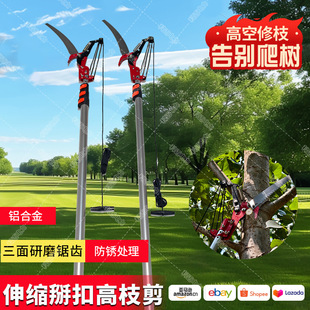 �羳���l��s�U��֦�߿ռ� ���L��֦�޼� �X�Ͻ���ɫ���۸�֦��