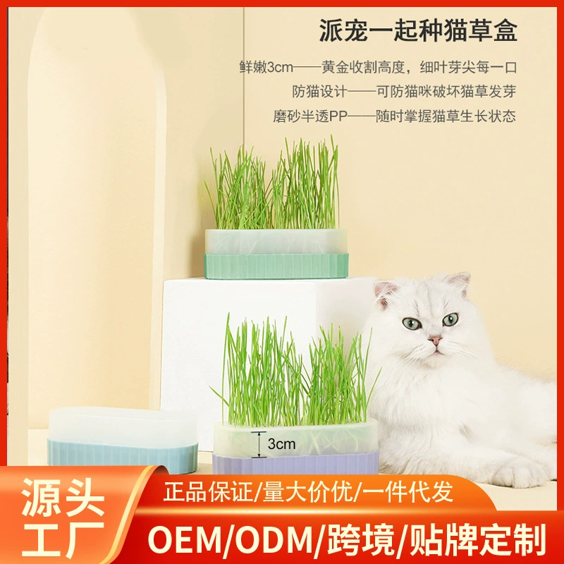 Оптовая продажа гидропонная коробка кошачья трава набор кошачья трава семена кошачья закуска молотилка
