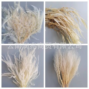 ��ɫϵ������âݽ�~���~�O���~���ò�ʯ��ǧ�ӽ��z�ʴ���ӭ�Ͷ�