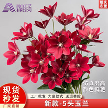 5�^���m�����ٻ�����ˮ�ɻ���Y�þƵ�廨·�����ŷ����b�