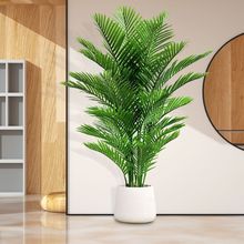 ����Gֲɢβ���߶��p���҃��b�ֲ��͏d��ؔ[���쾰���Լٻ���