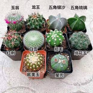 �������ݗ�������ֲ������ֲ�҃Ȼ��绨������ˮ��Gֲ����ֲ��