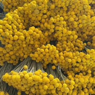 �S������Ȼ�ɻ��滨��鳻��Ҿ��b����ՔzӰ����DIY���ĉ���