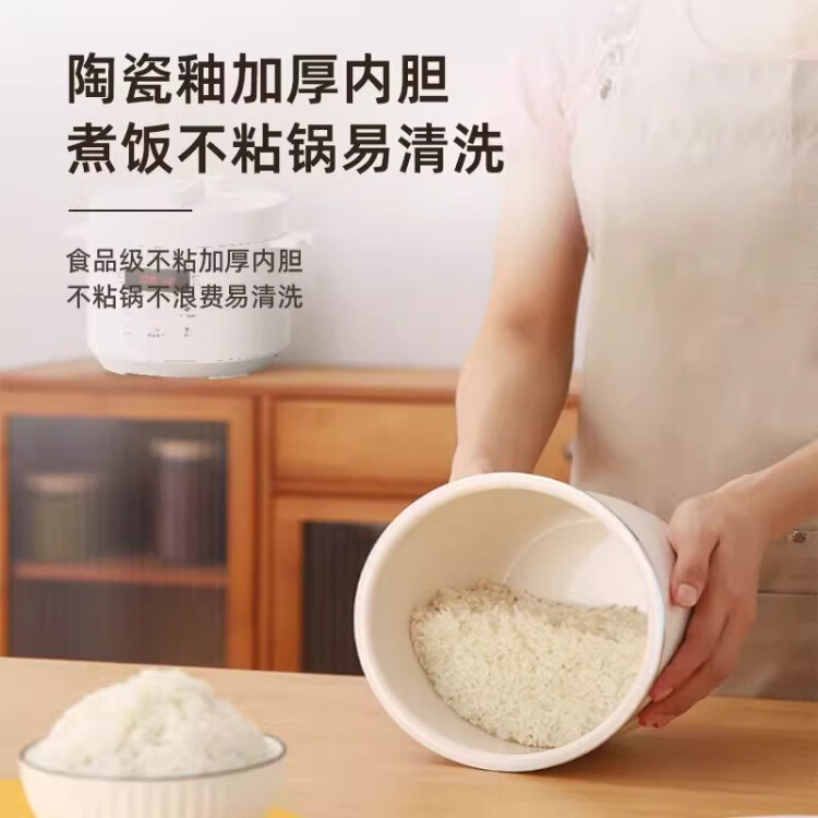 半球小型电压力锅家用2.5L5L6L智能高压锅多功能2-9人迷你电饭锅|undefined