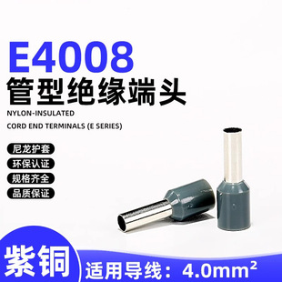 E�������ͽӾ�����E4008�����^���o��