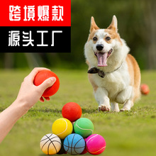 跨境小狗狗玩具球耐咬不烂实心球磨牙弹力球宠物训练小狗玩具用品
