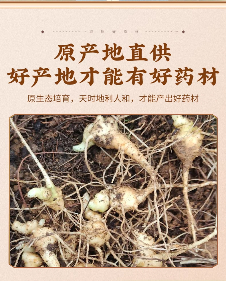 Dried Zhu Jie Shen Bamboo Ginseng Root 500g Traditional TCM Herb for Decoction and Soup key features