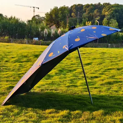Takeaway Vehicle Umbrella Stand, Sun | Elektromobil üçün ön şüşə çətiri (günlük) - vinyl-cartoon-orange-single-umbrella-30-frame-straight-length-165m