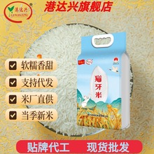 ����Դ�^�S�Ҷ���5��/10��/20��z������������������������